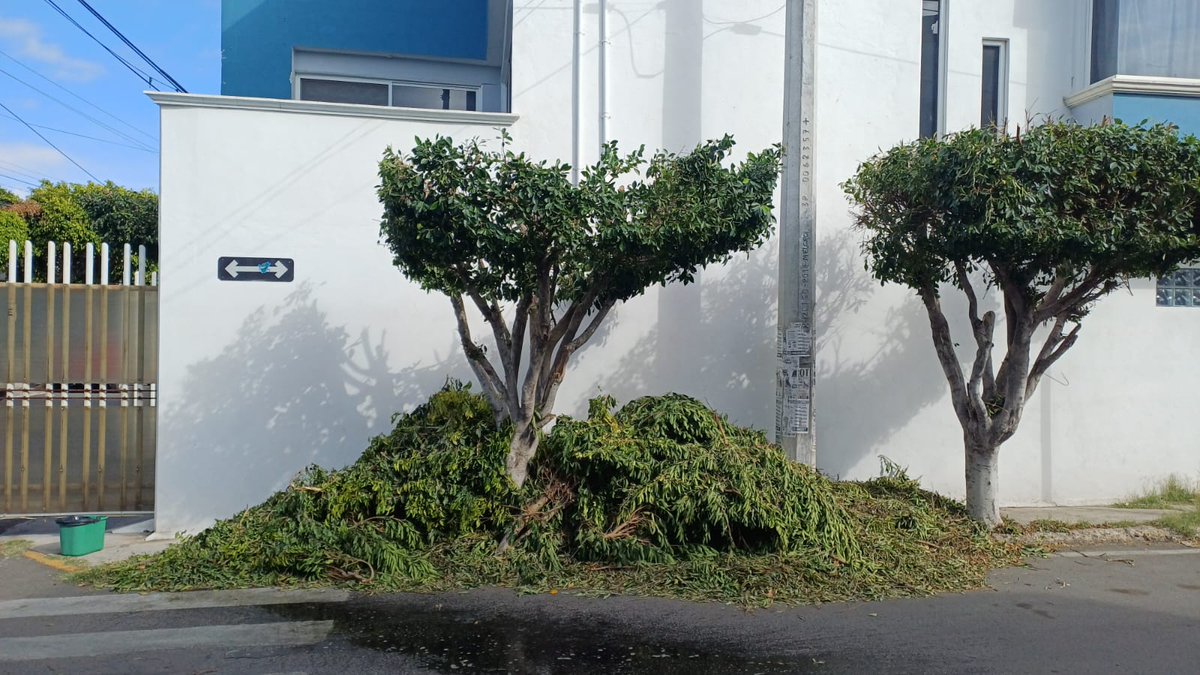 Carlos Morales tweet media