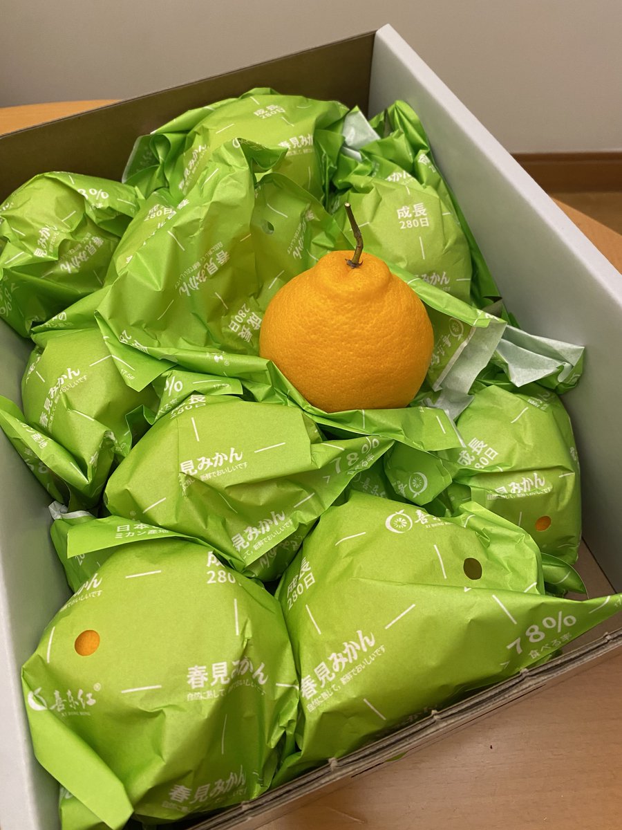 みかんノート (@mikanflavor1) / Posts / X