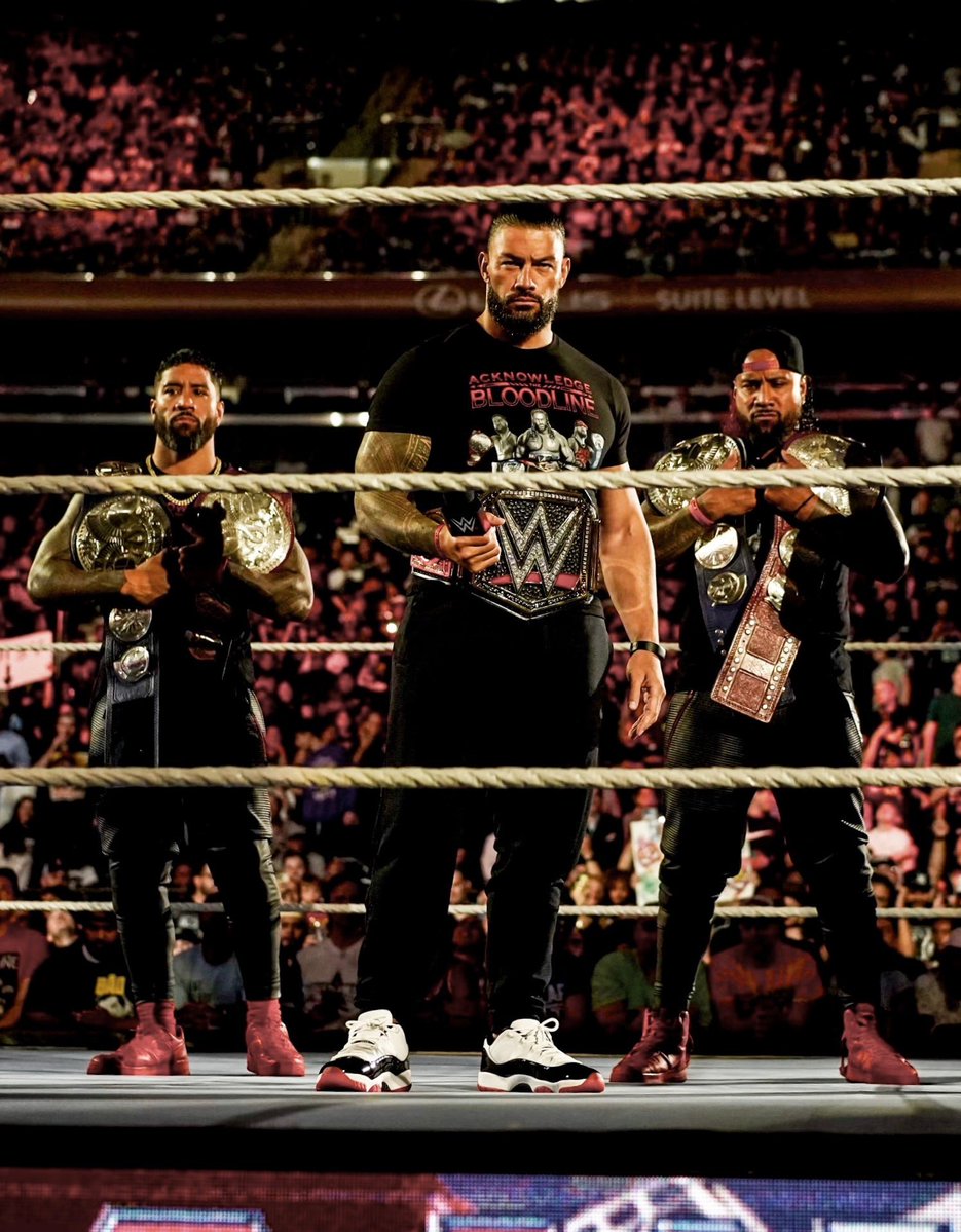 “we’re the only reason this place is where it’s at.”

From sentences like that, you really understand that the Bloodline is his creation. He will always fight for his family and to give them the credit they deserve.