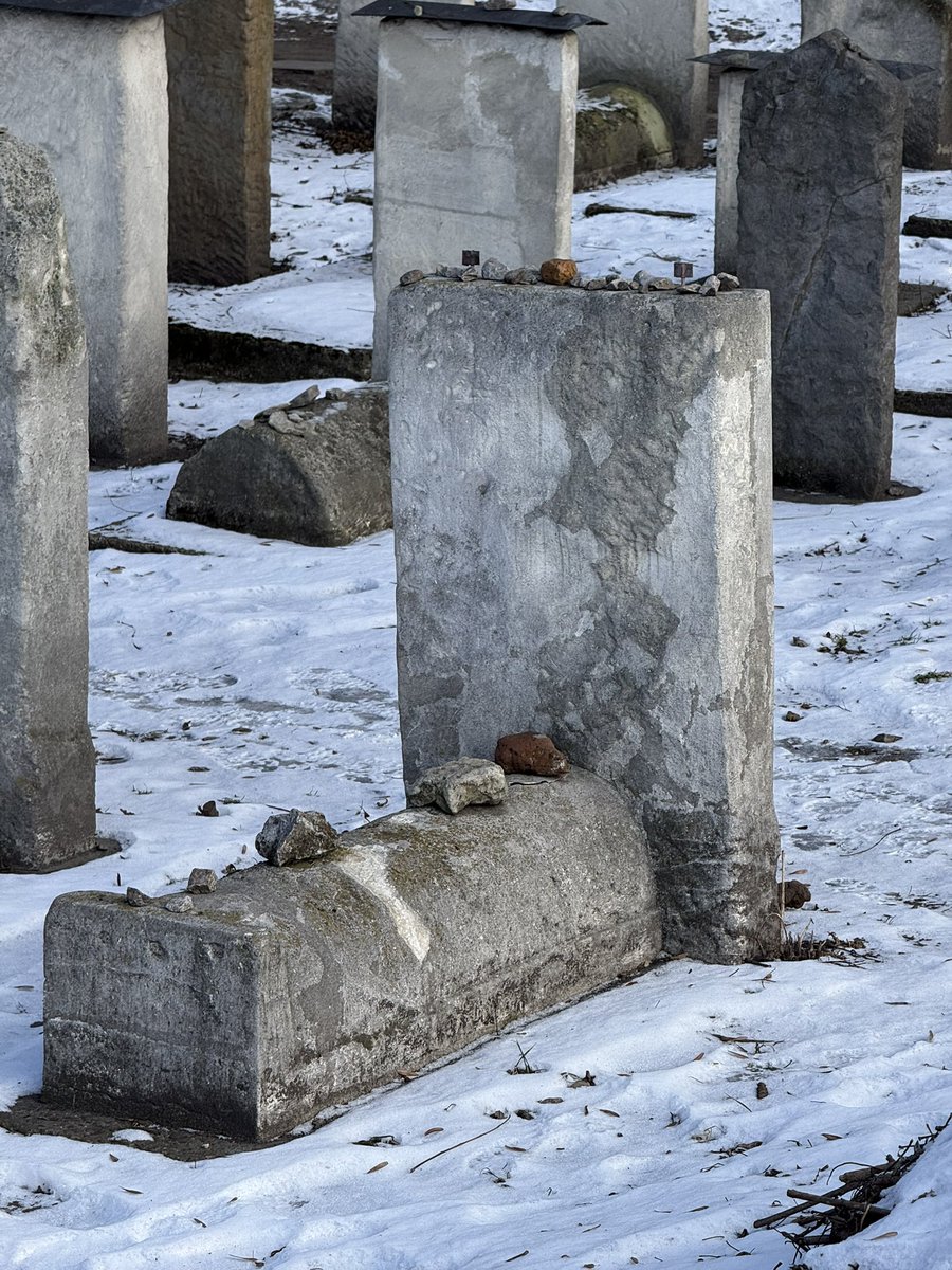 Vanessa O'Brien tweet media