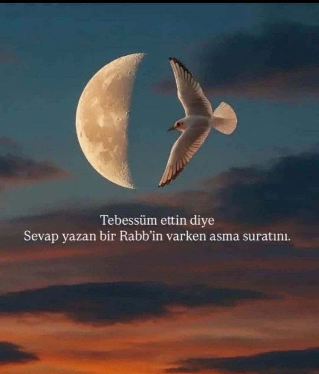 Hakan Şimşek🌠 tweet media