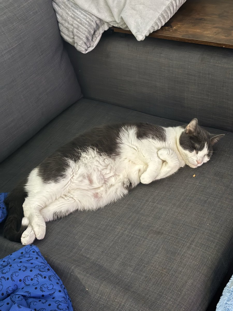 Life update for everyone. (Ellie pic for your enjoyment)

I’m living in a new state helping my cousin with his kids. 
It’s been rough and I’m very tired but things are starting to level out and I’m having a bit more time for myself.  
Whether this is permanent or not is unclear.