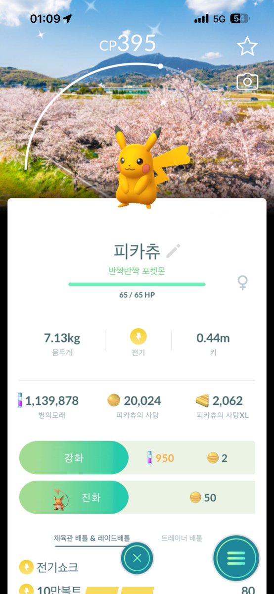 잠에 취한 여행자 tweet media