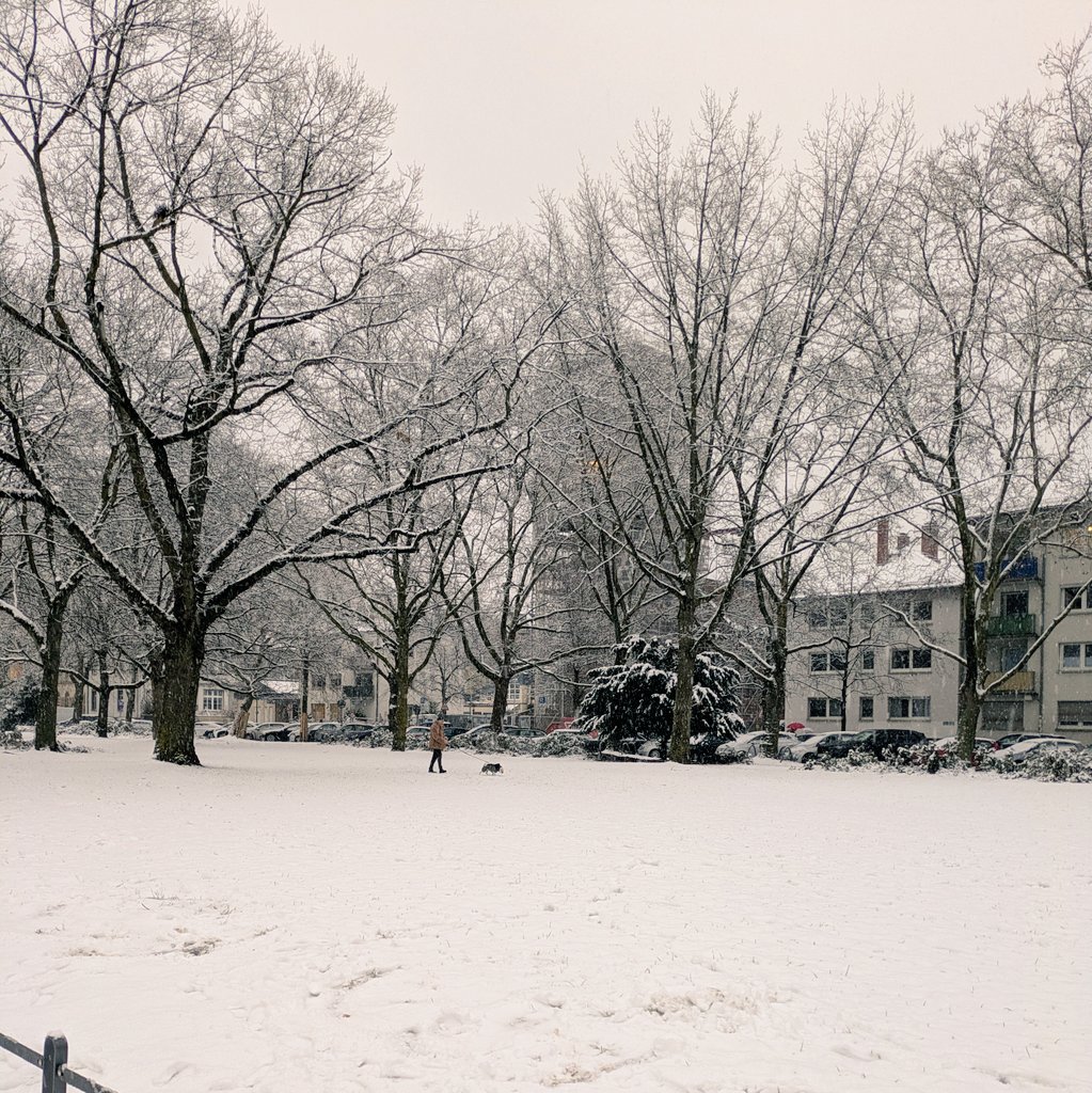 昨日は地下鉄トラムがスト、Sはなんか意味不明のトラブルで滅茶苦茶だった💢今日は❄
高速道路へ繋がる道路、会社前の道路もずーーーーと渋滞😵
とは言え、正直大した積もってはいないのよね🙄
そういえば今日は節分👹でした。
豆の代わりにアーモンドでも食べようっと🫘