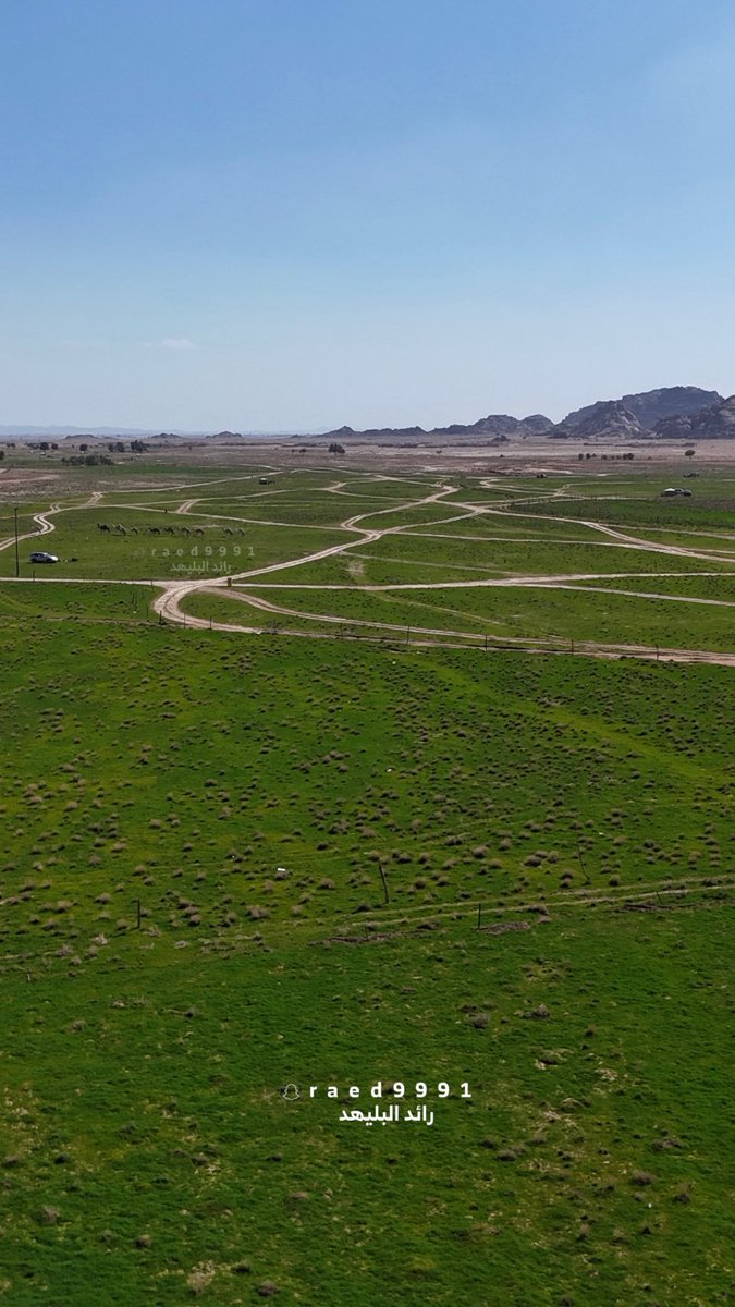 رائد البليهد tweet media