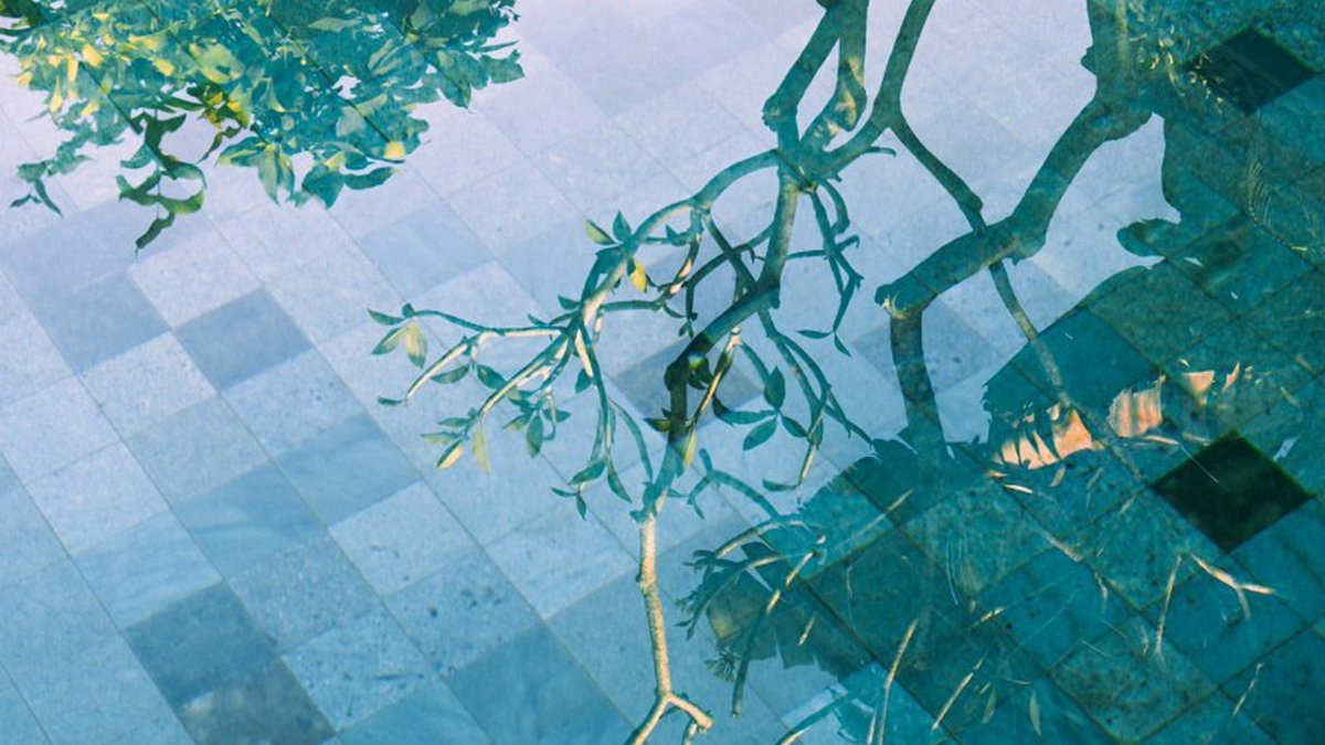 Litro Magazine tweet media