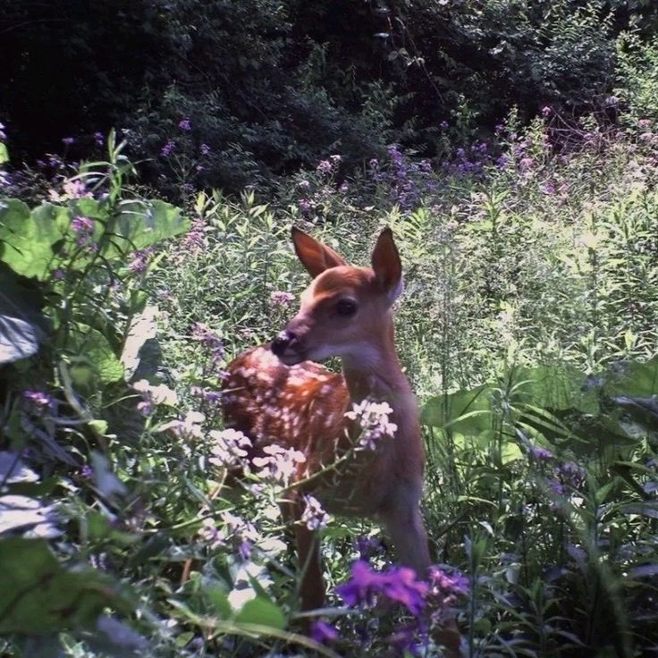 prtygal777's tweet image. 