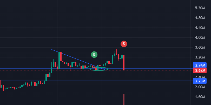 Modo⛓️ tweet media