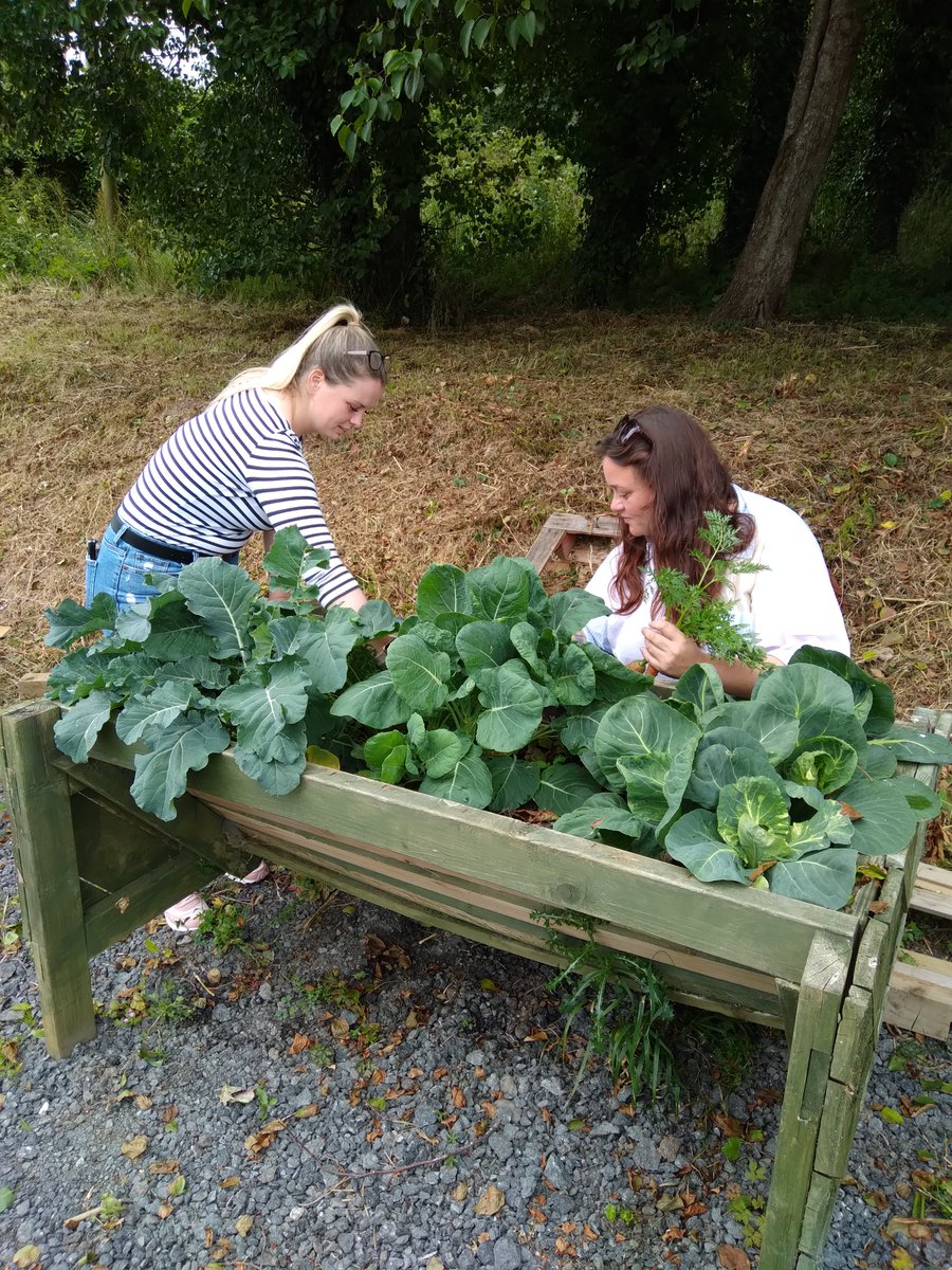 The Wallich | A homelessness charity in Wales tweet media