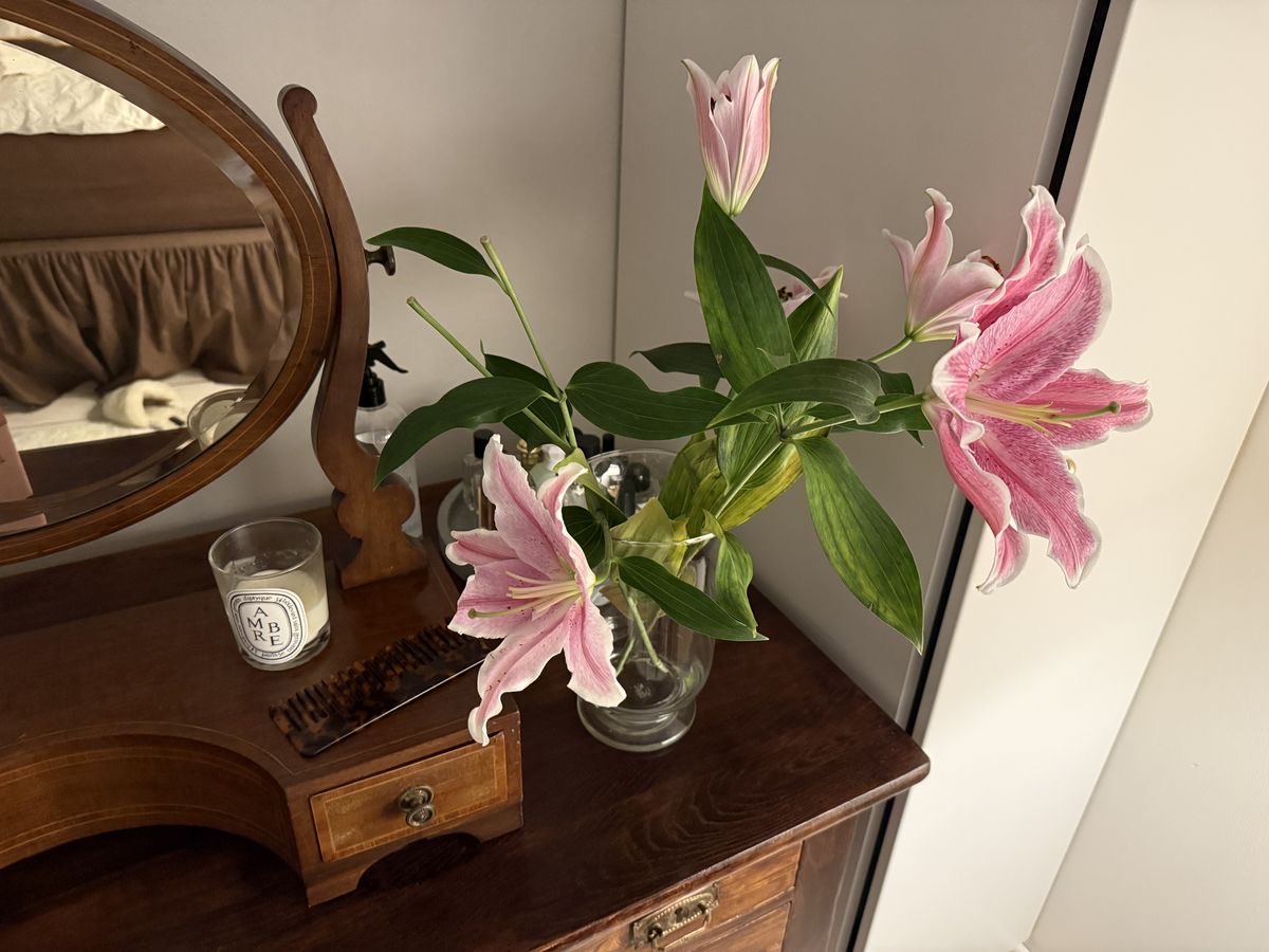 inreuo's tweet image. 