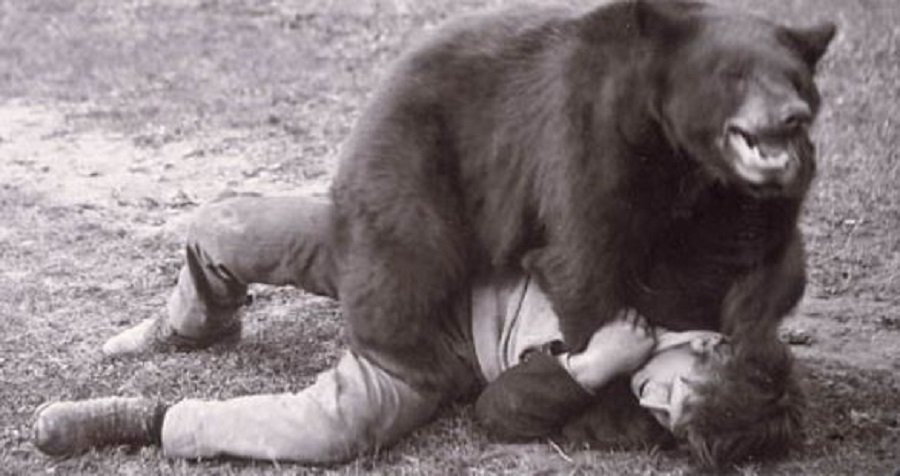 Jack Boulware tweet media