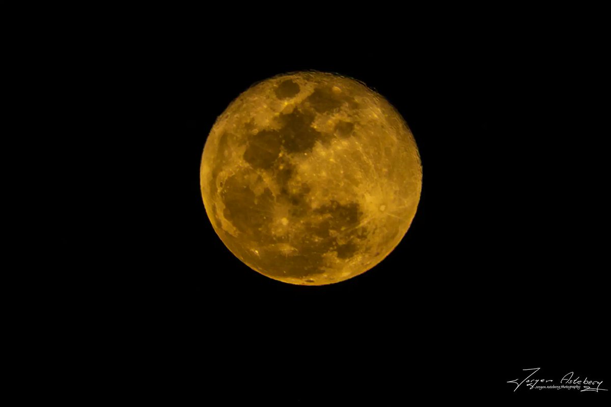 OrbitalToday.com tweet media