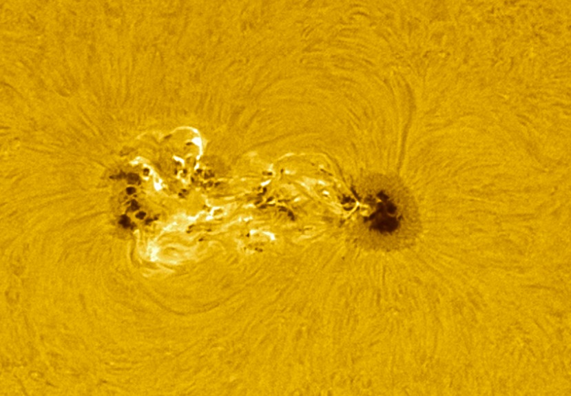 Espectacular taca solar fotografiada per l' <a href="/Observatori/">Observatori de Pujalt</a>  . Tenim el sol molt actiu aquests dies!  Estigueu al cas de les XXSS de l'observatori i d'Astroanoia per a més informació!
