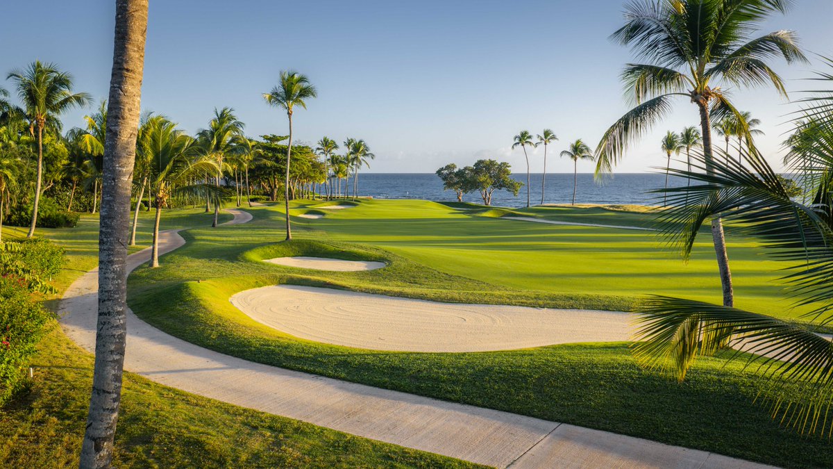 Patrick Koenig tweet media