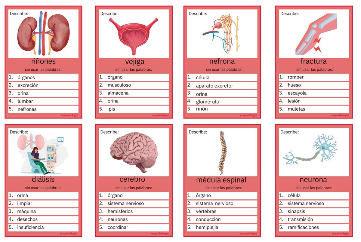 Proyecto Simbiosis🧬🌎👨🏫👩🏫 tweet media