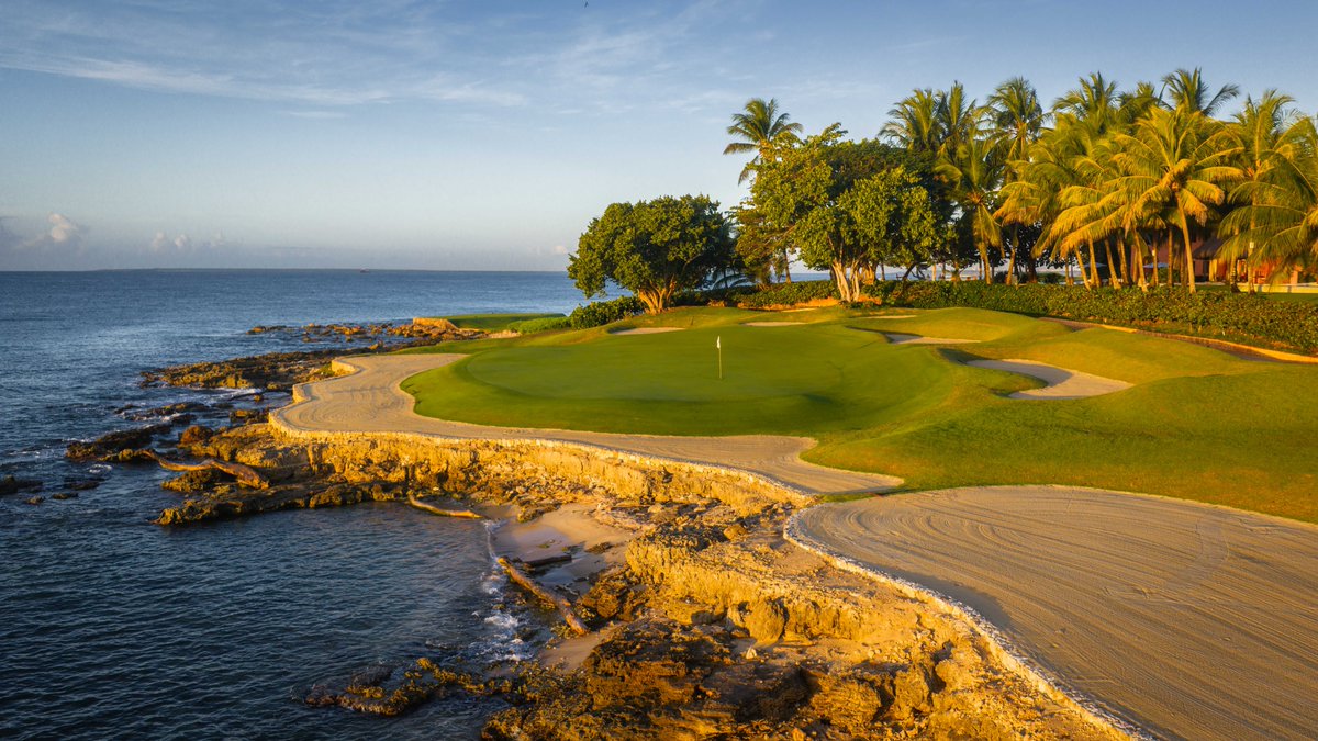 Patrick Koenig tweet media