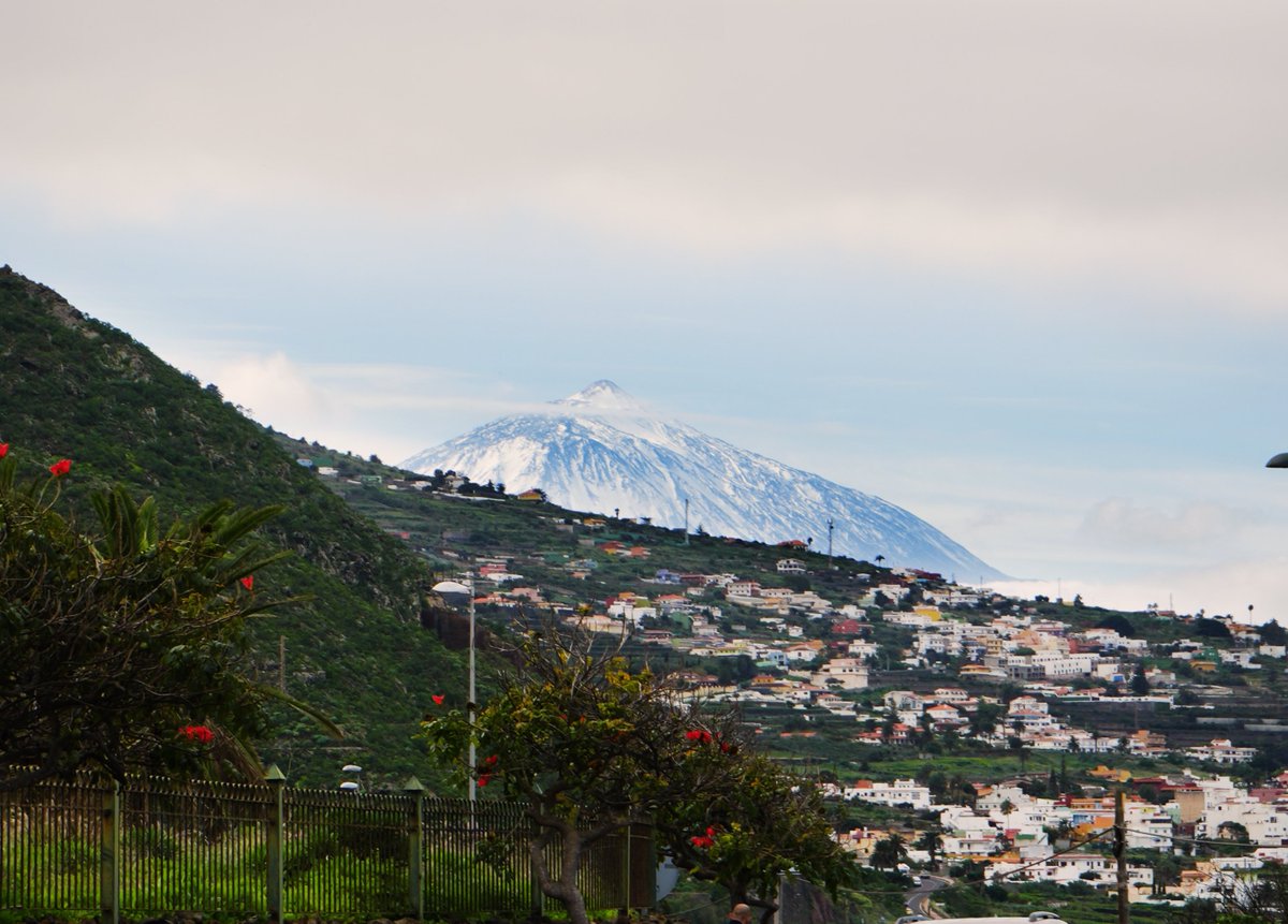 Ir de compras a la Comarca Nordeste es apoyar a su comercio local y disfrutar a su vez de paisajes como este❤️

#ComercioLaLaguna #ComercioLocal #CompraLocal #ComarcaNordeste
