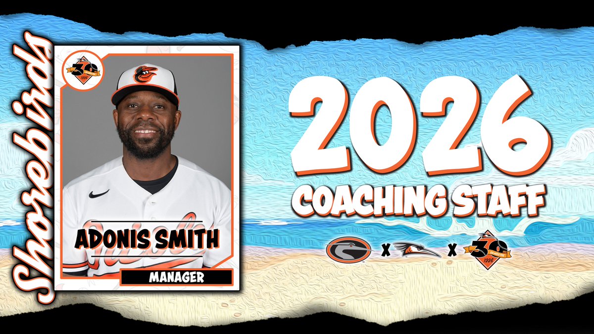 Delmarva Shorebirds tweet media