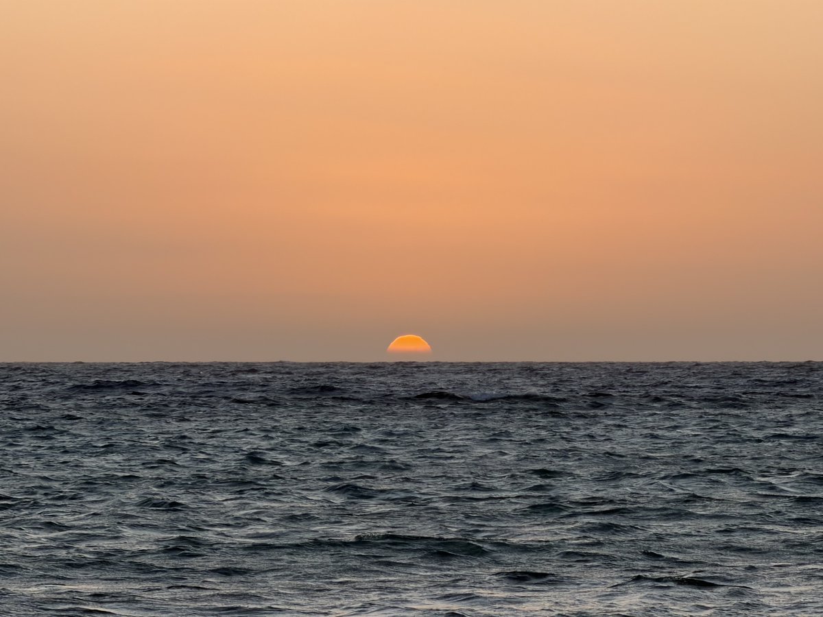 llllY77's tweet image. 