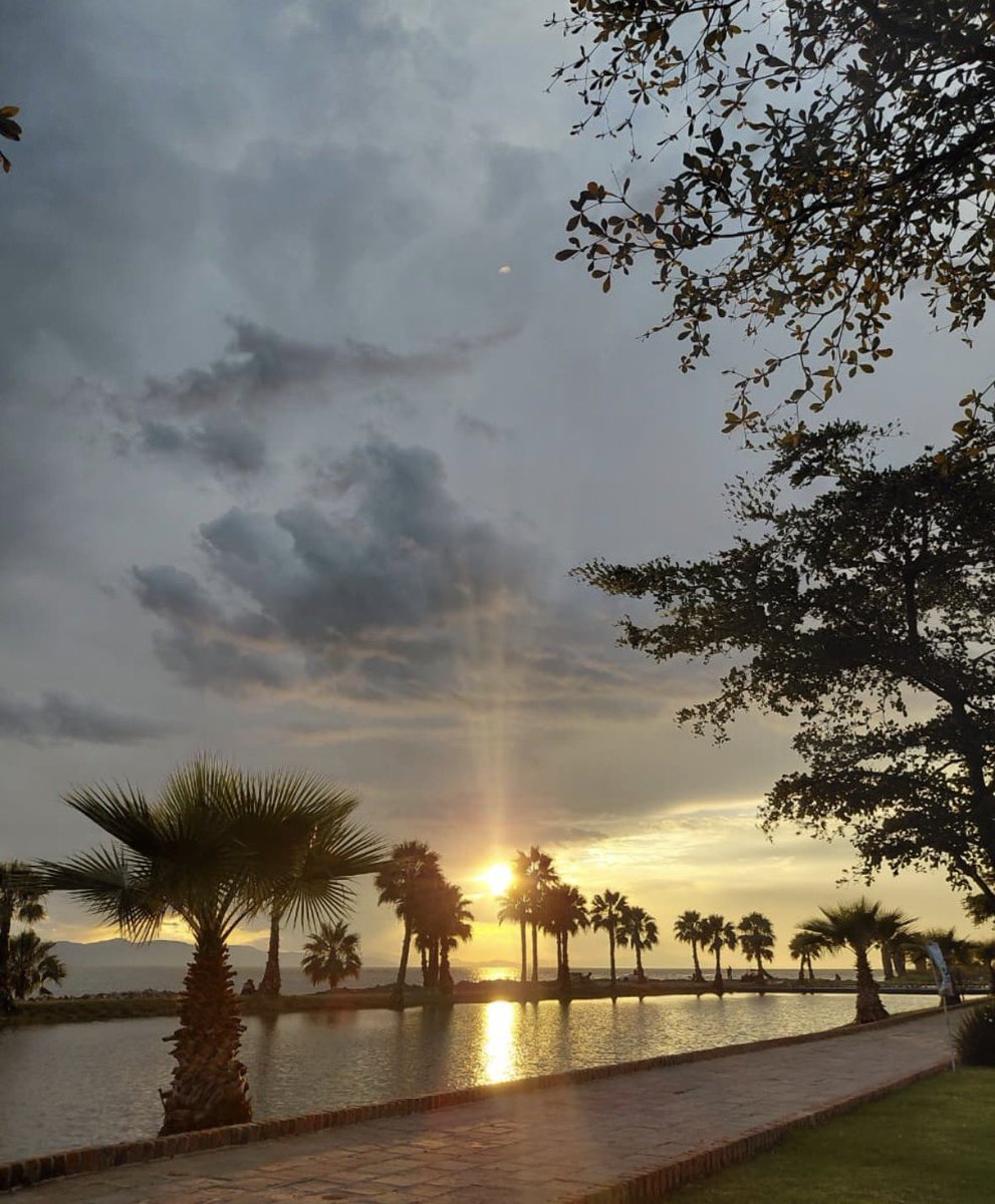 Arthur_Y01's tweet photo. Chingón atardecer https://t.co/snzkq9i4QR