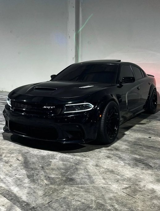 Bushman♡ tweet media