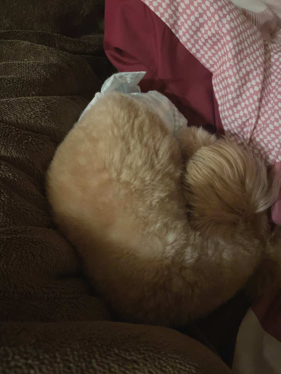 あさひ tweet media