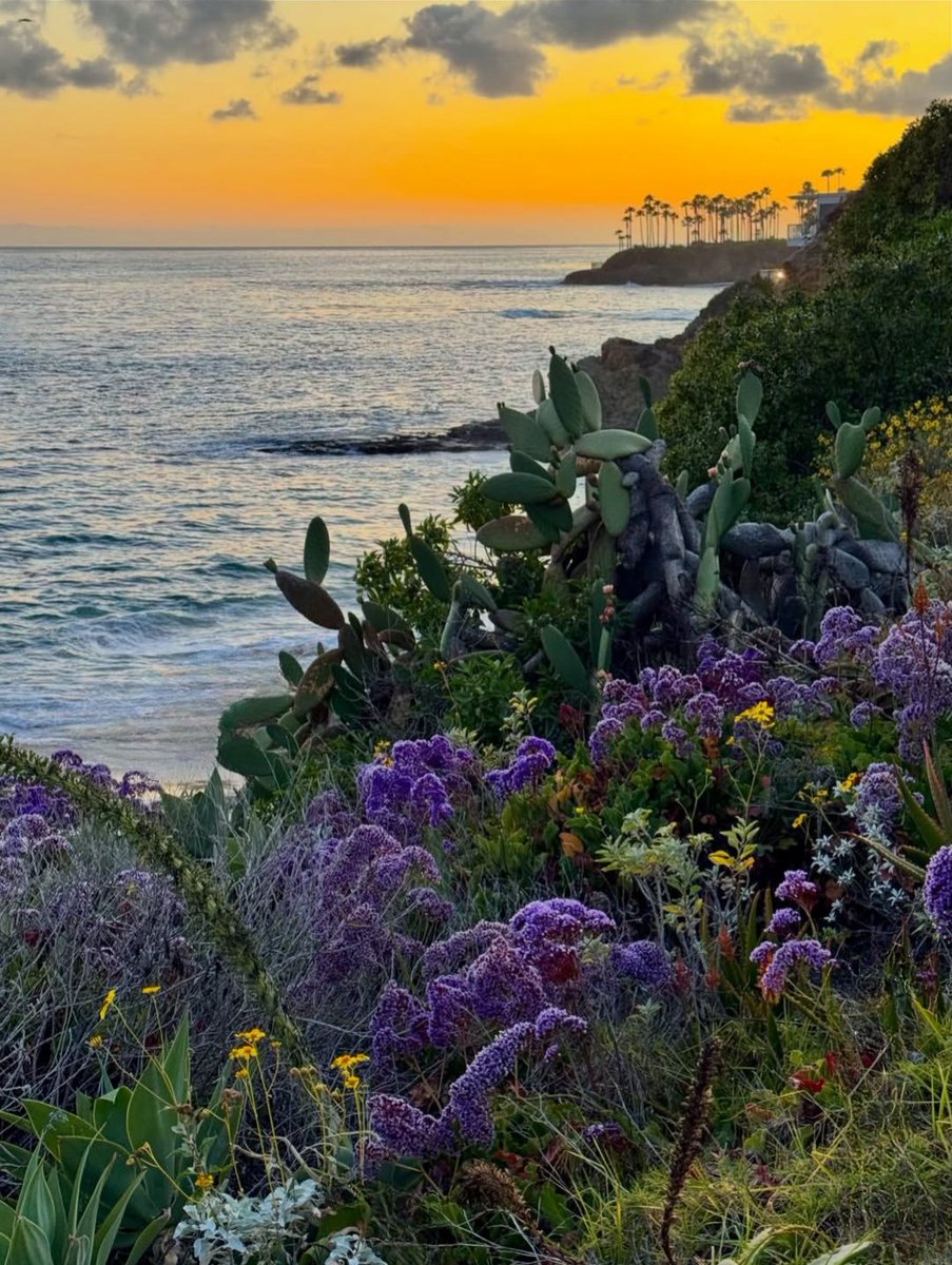 #Argentina #Austria #Australia