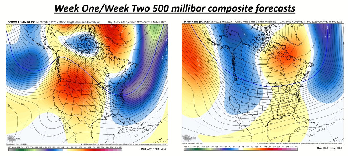 Craig Solberg tweet media