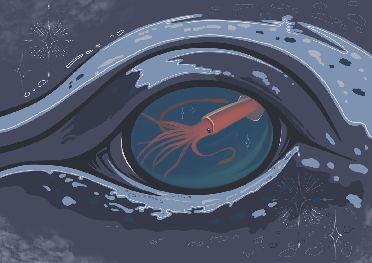 イカとクジラの見える世界

#めかぶ絵