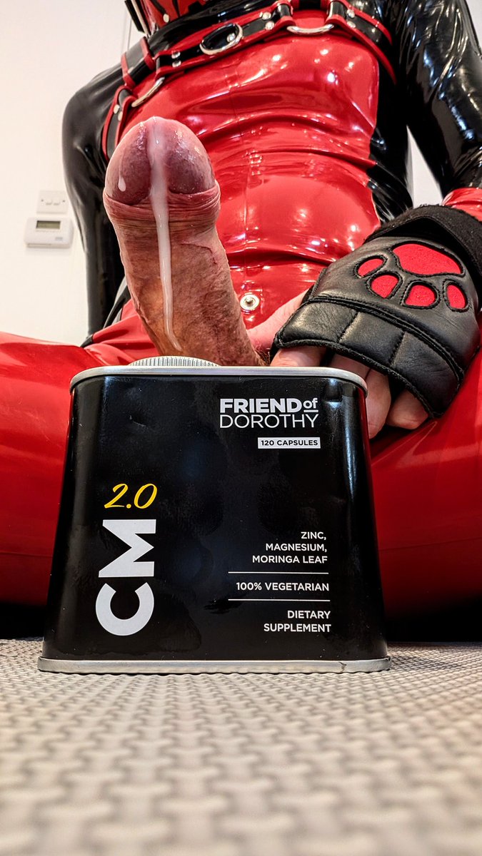 Pup Bayard / Rubberdoll Candy 🔜 ConFuzzled tweet media