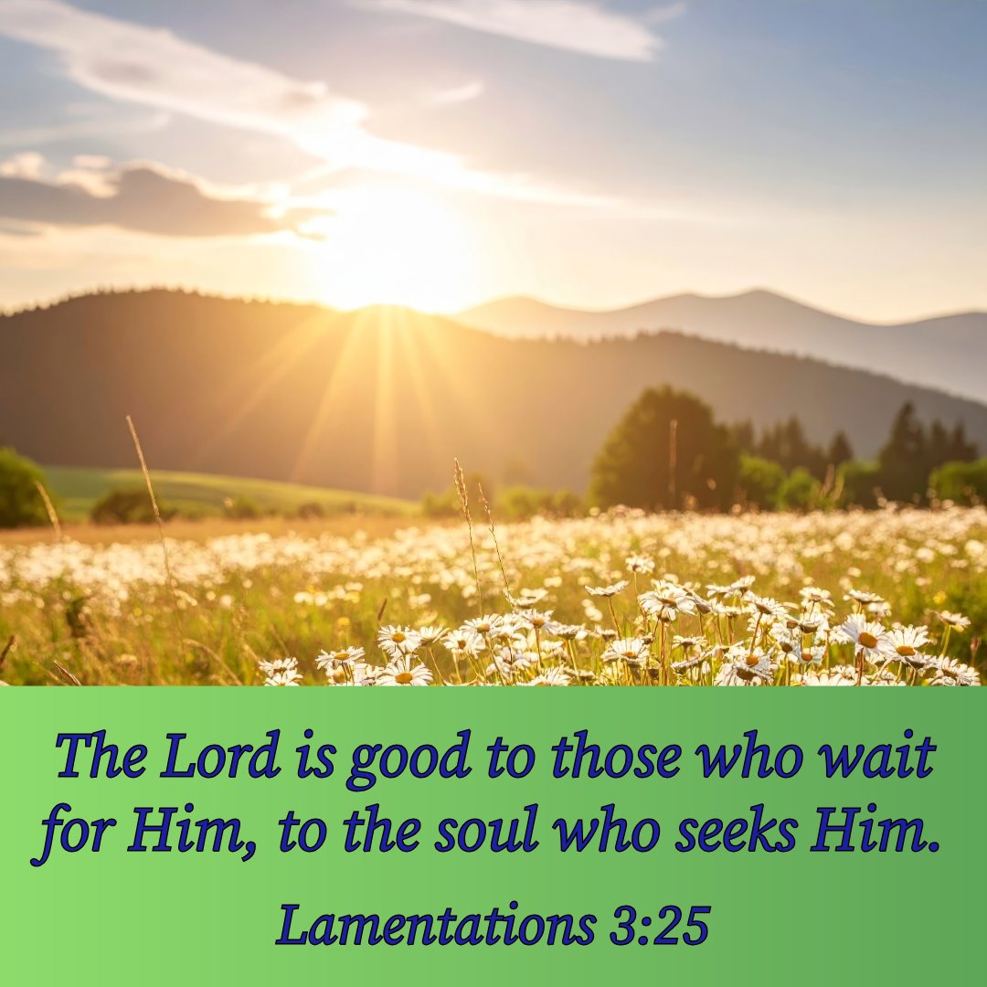 tweets_mb's tweet photo. #TheLordIsGood #SeekHim #Soul https://t.co/tUaB2Q1F2b