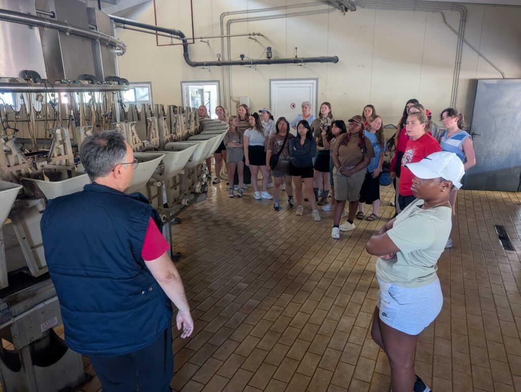 AHSNCState's tweet photo. Every summer, students dive into Greek Agriculture!🌱 With the SEE Inside Greek Agriculture study abroad program, students participate in hands-on learning in farms, food production, &amp; ag ed.🌾

Check out this blog to learn more before the Feb 5 deadline! https://t.co/TcG0jsOrwS https://t.co/NGTv9WTFZI