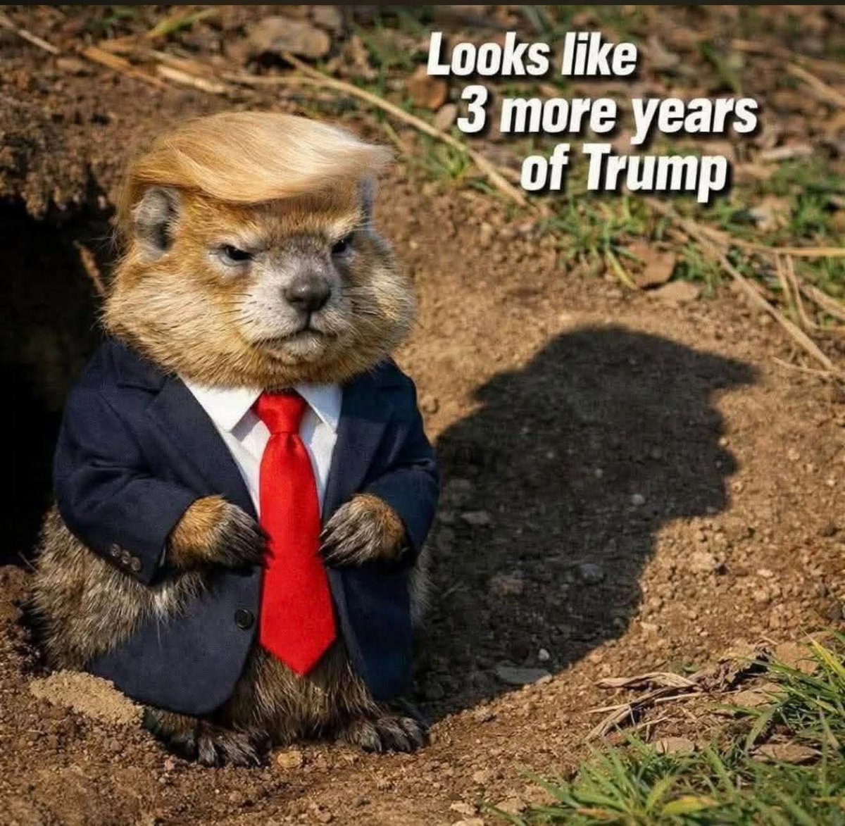 Cathy F 🇺🇸 🍀 (@cathyf08) on Twitter photo 