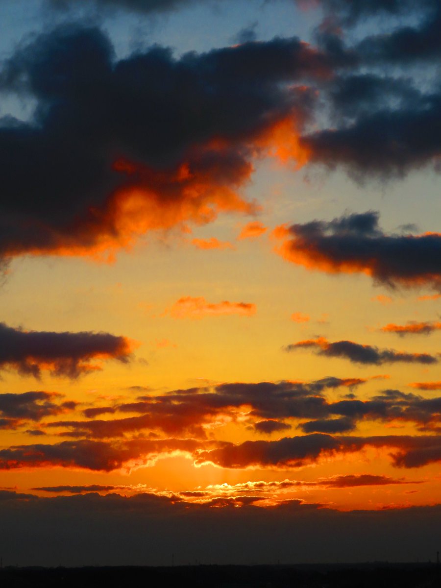 佐藤照雄 (@teruosatou) / Posts / X