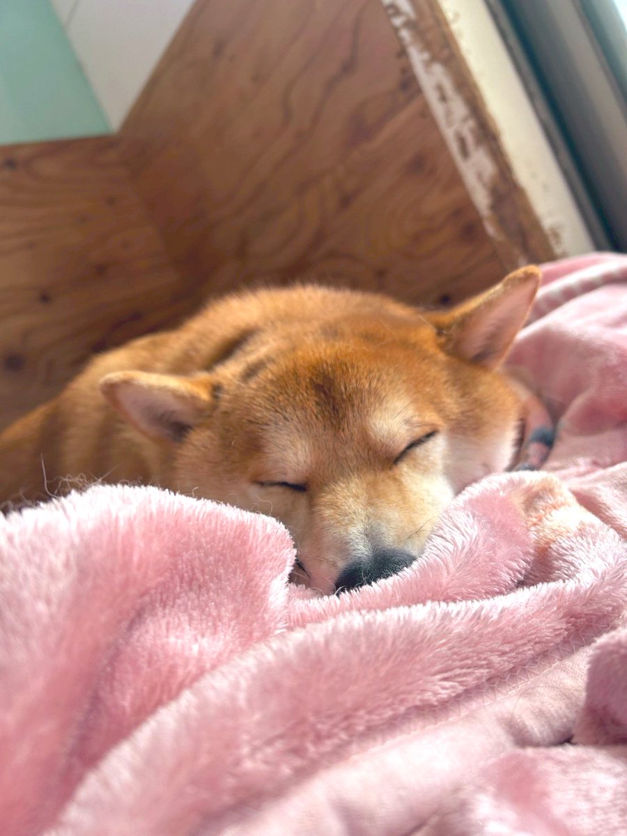 おはようございます。