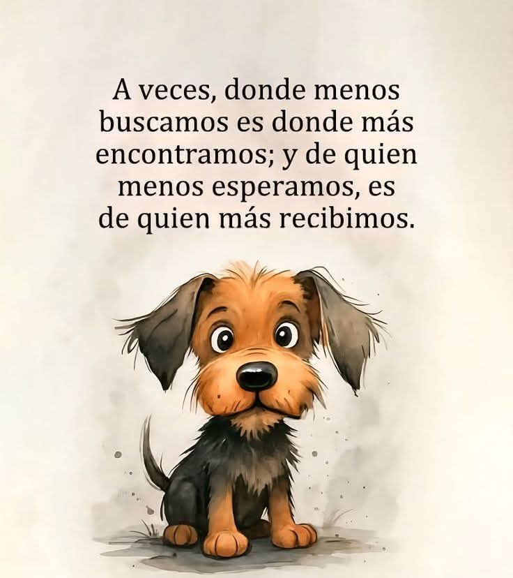 VidaEquilibrada (@vidaequilibrad4) on Twitter photo 