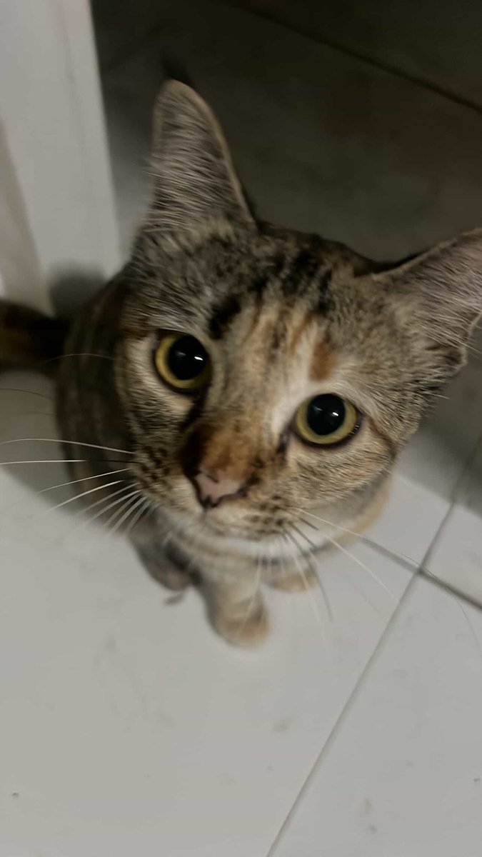 - (@xxxxmetang) on Twitter photo 