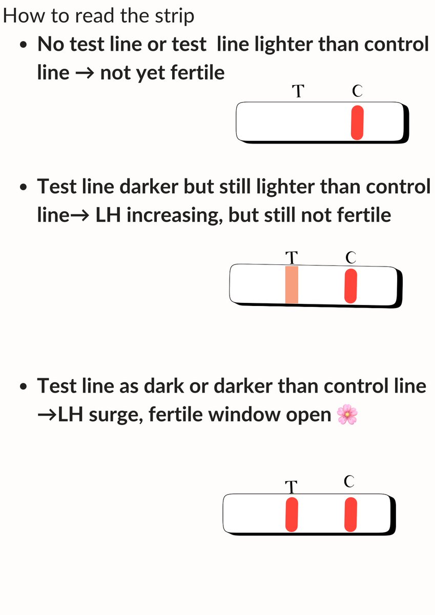GNenwi's tweet photo. Do you actually know how to use an ovulation test strip? 🧐
Do you know the BEST time to track ovulation? ⏰
And did you know… just two lines on a strip doesn’t automatically mean ovulation? 😳
Let’s clear the confusion 👇 https://t.co/3rLph5VGM2
