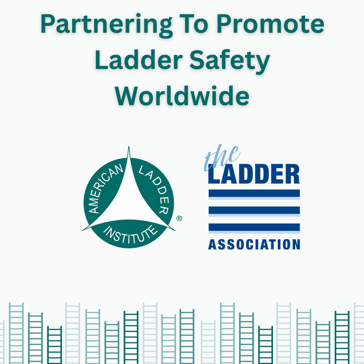 American Ladder tweet media