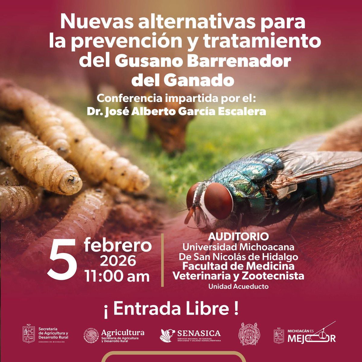 🚨 Atención ganaderos y MVZ 🚨
El gusano barrenador sigue presente, pero se está controlando.

Conoce alternativas de prevención y tratamiento en la conferencia:
🗓️ 5 de febrero | 🕚 11:00 h
📍 Auditorio Fac. de Veterinaria y Zootecnia
🎟️ Entrada libre
