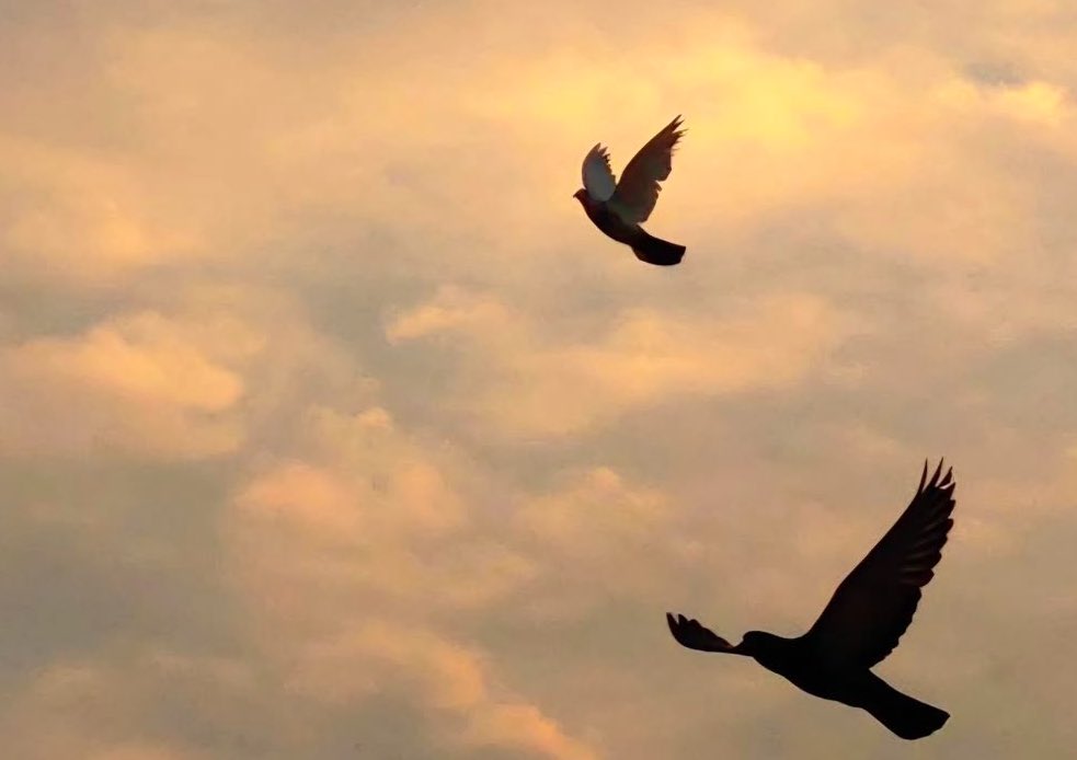 Çayın da bir derdi olmalı. 
Ateşler içinde yandığına göre, unutulduğunda soğuduğuna göre, bekleye bekleye acıdığına göre, var bir derdi.
🌙 🌒