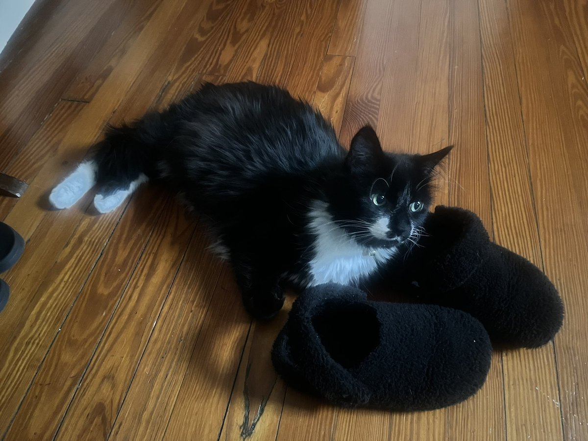 Heather :p tweet media