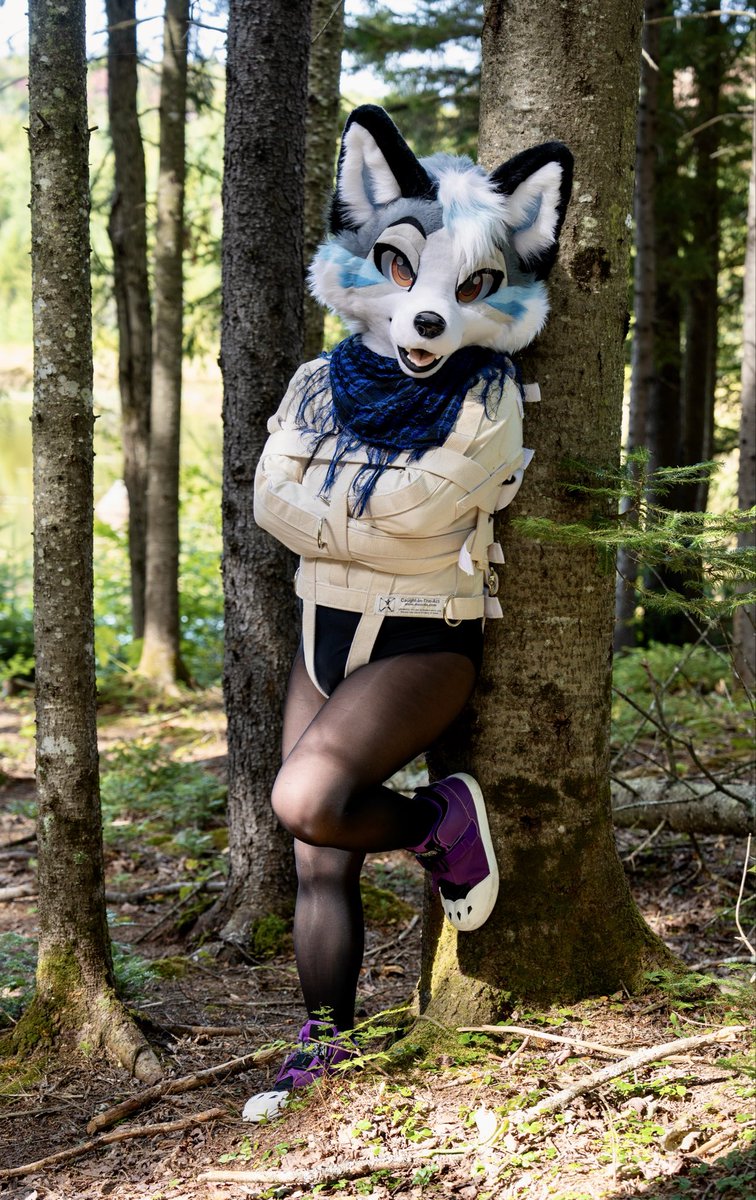 HowL 🍁 🔜 FWA, AC tweet media