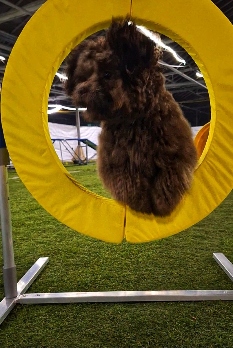 Dieneke 🏃‍♀️🚴‍♀️🏋️‍♀️ tweet media