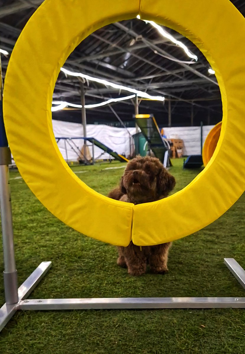 Dieneke 🏃‍♀️🚴‍♀️🏋️‍♀️ tweet media