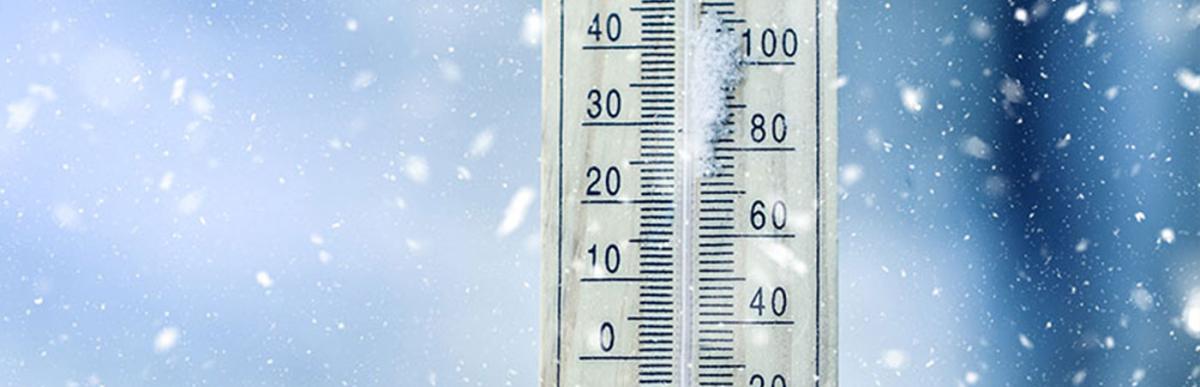 BayObserver's tweet image. Cold Weather alerts issued for Hamilton and Halton Region
bayobserver.ca/cold-weather-a…
#Hamont #BurlON #ColdWeatherAlert