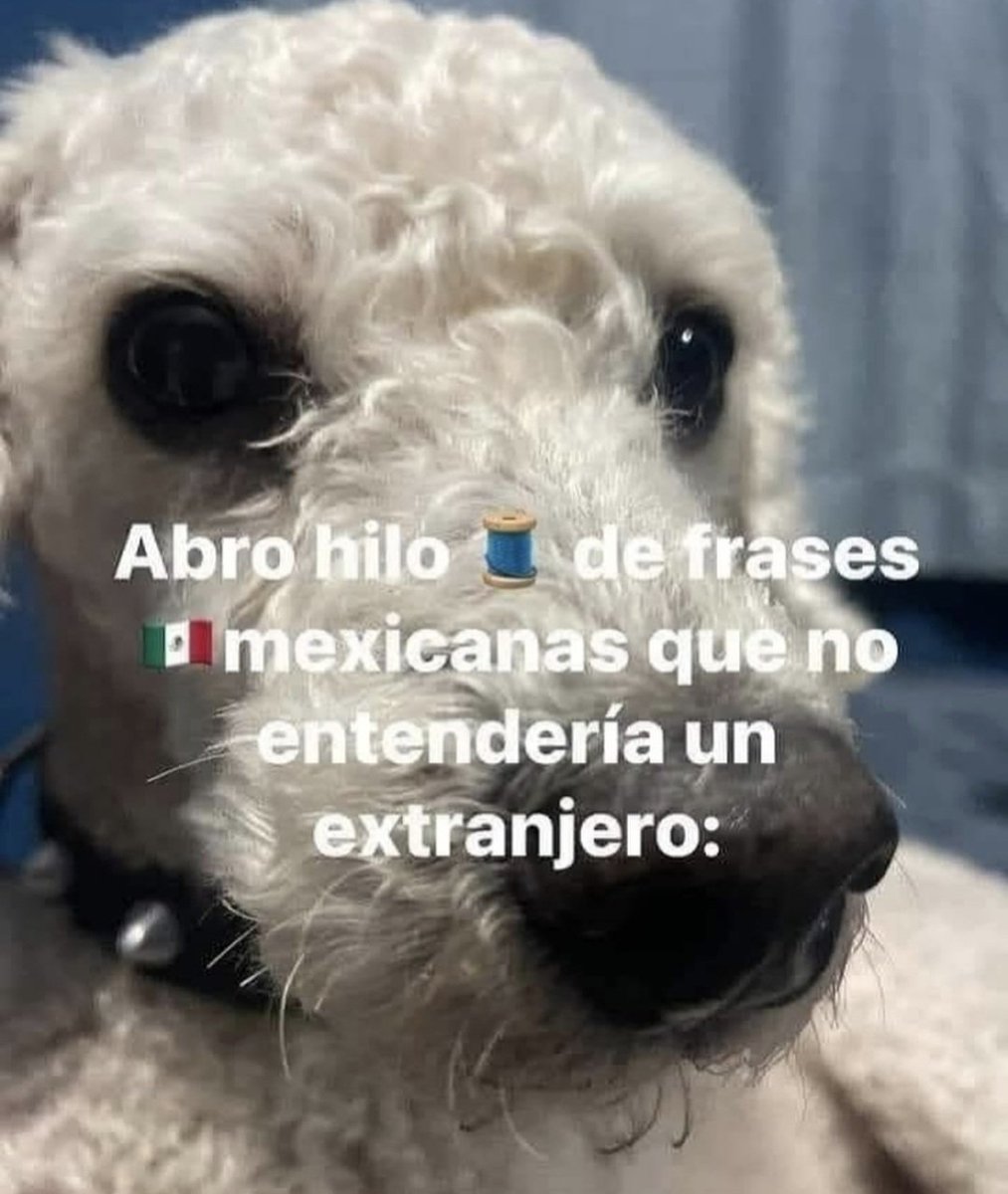 Animalitos en aprietos. tweet media