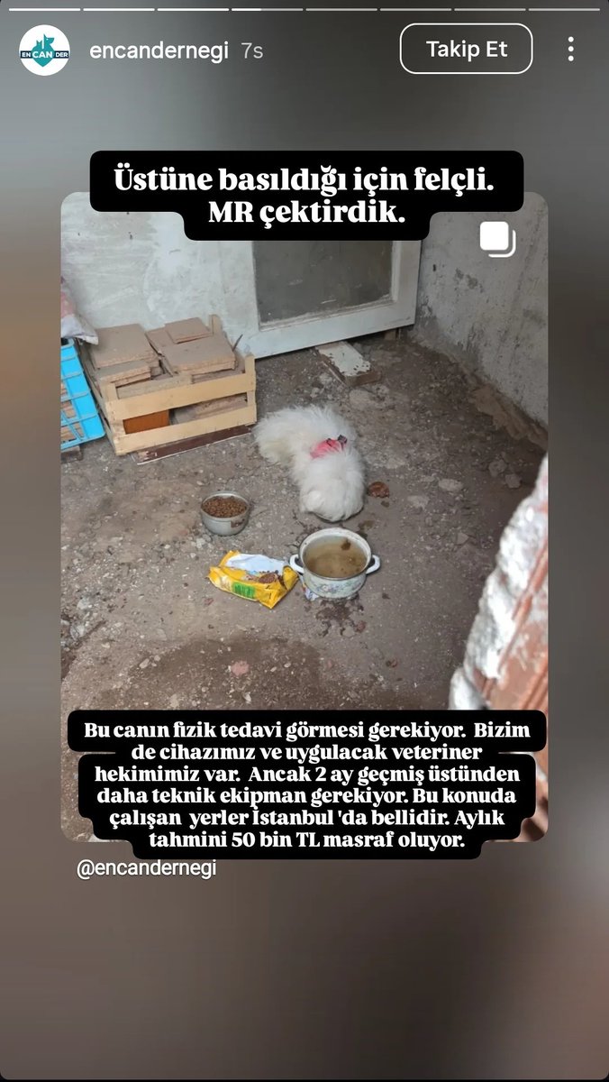 Seda Ünlem tweet media