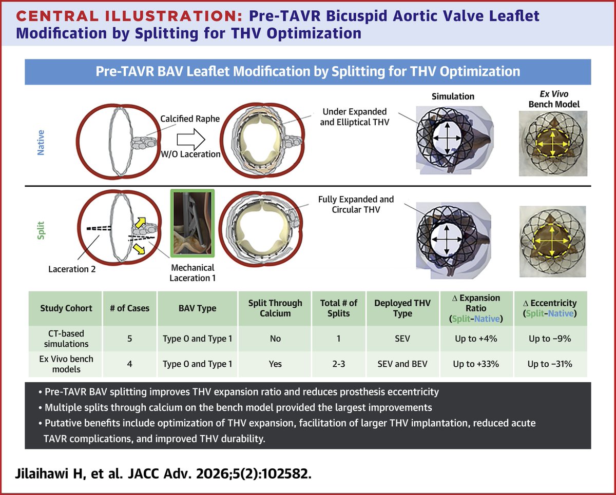 Pi-Cardia tweet media