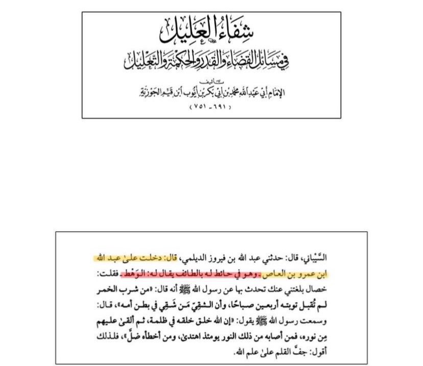 محمد القرشي tweet media
